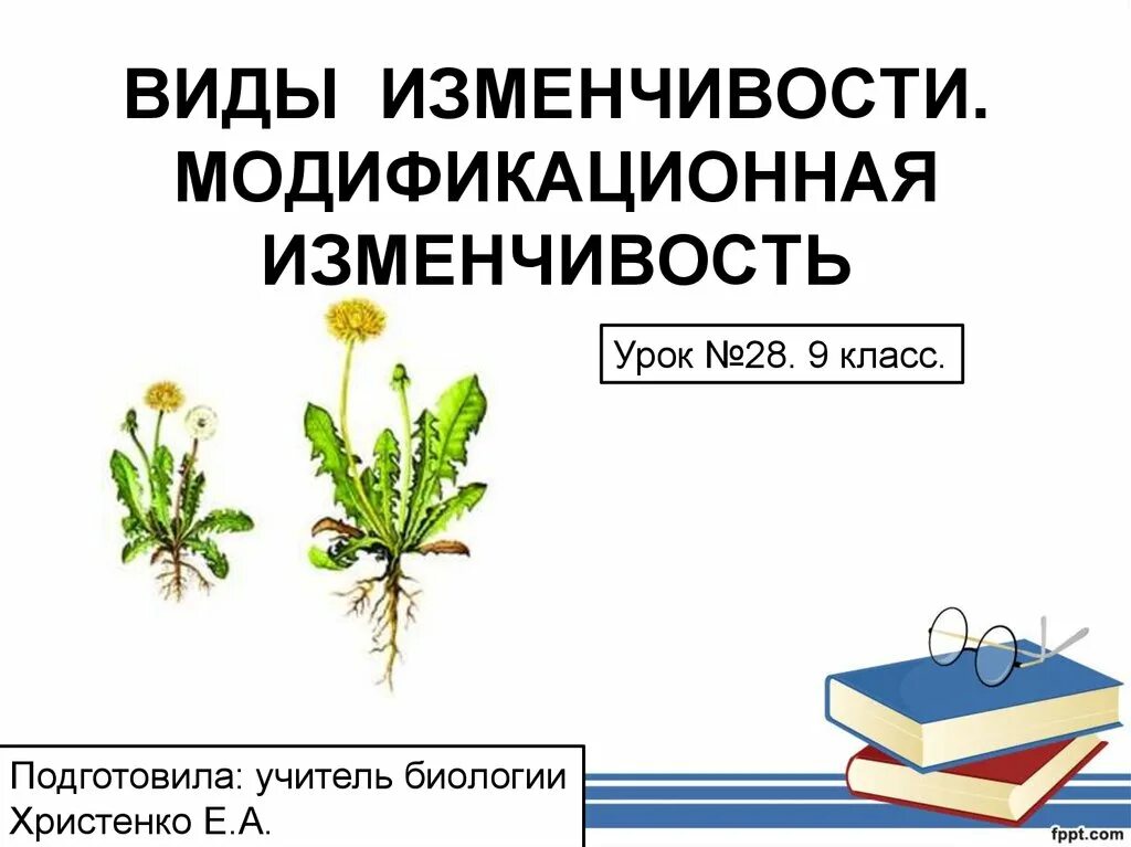 Формы модификационной изменчивости. Модификационная изменчивость презентация. Типы модификационной изменчивости. Модификационная изменчивость это в биологии. Модификационная изменчивость биология 9 класс