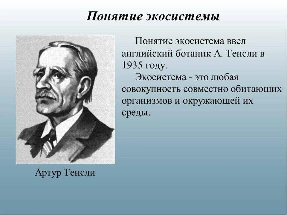 термин экологическая система ввел. термин экосистема тенсли. термин экологическая система ввел. термин экологическая система ввел. автор термина биогеоценоз.