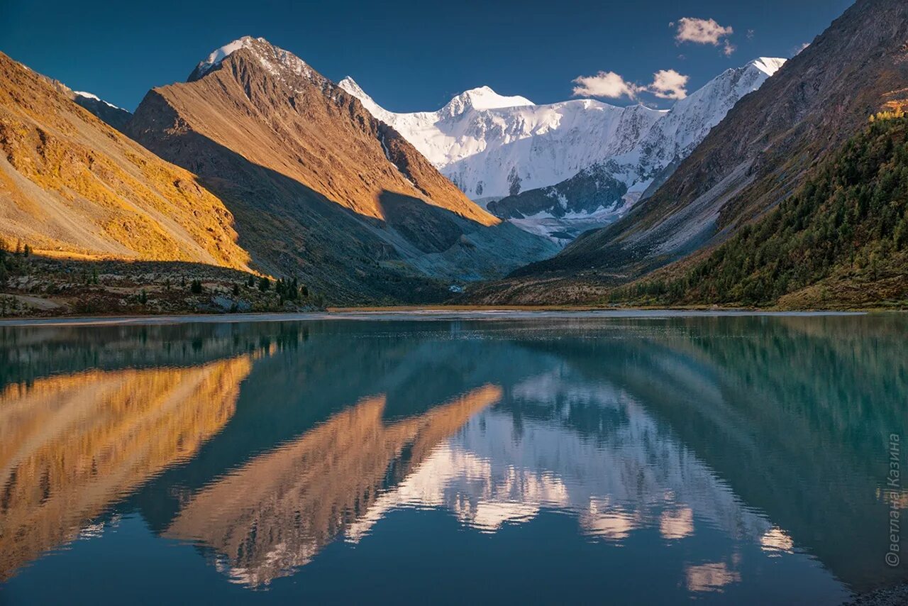 Природный пояс у подножия гор алтай. Белуха горный Алтай. Золотые горы Алтая гора Белуха. Парк Белуха Алтай.