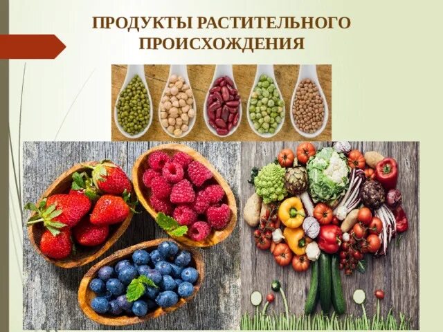 5 растительных продуктов