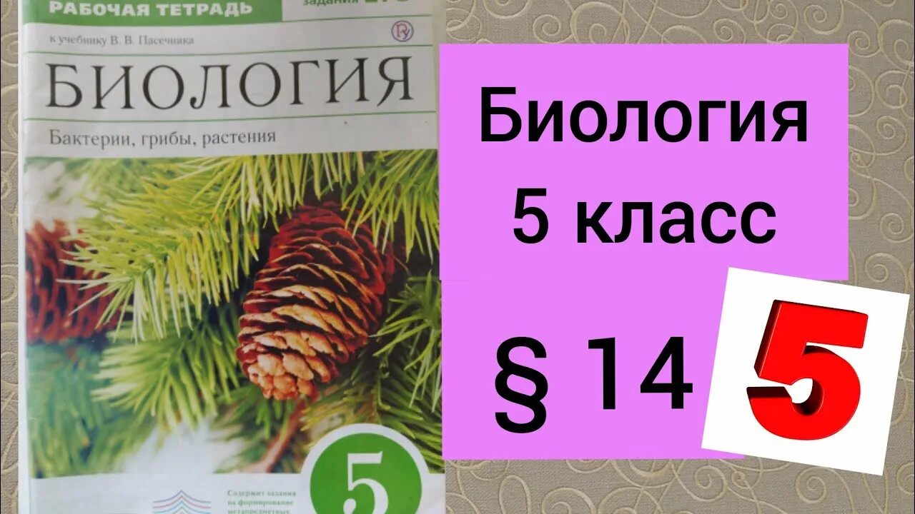 Рабочая тетрадь по биологии пасечник 11. Биология Пасечник 5. Биология 5 класс рабочая тетрадь Пасечник. Биология 5 класс Пасечник 2019. Биология 5 класс пасечбиология 5 класс.