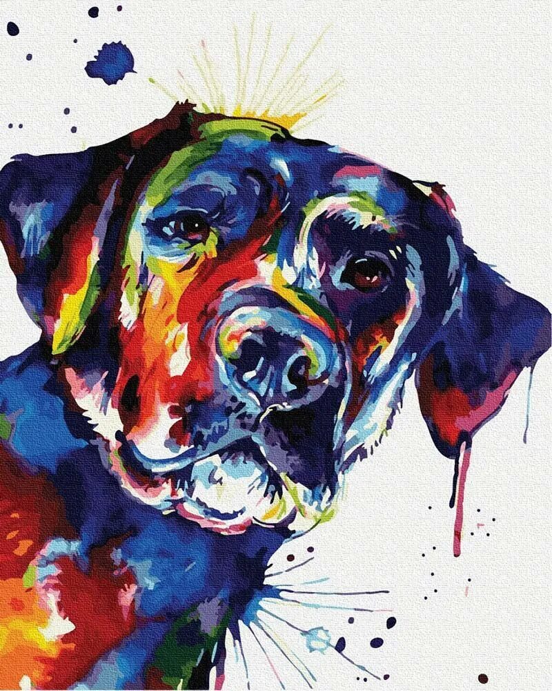Painted dogs. Собака акварелью. Собака абстракция. Яркие рисунки. Собака в стиле акварель.