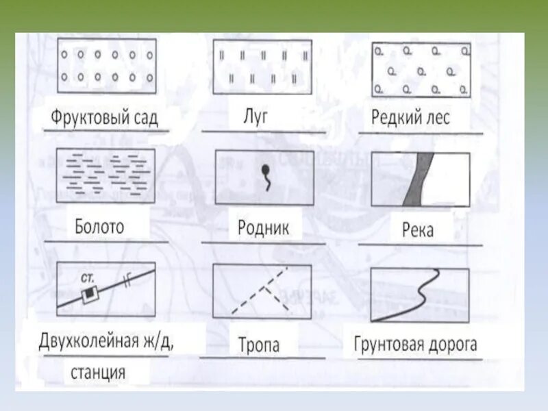 Условный знак болото на топографической карте. Условные знаки плана местности. Условный знак луг на плане местности. Условные обозначения редкий лес. Условный знак сад