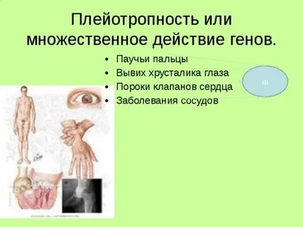 Множественное гены