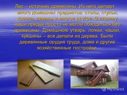 Главным источником древесины являются
