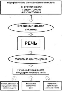 Механизмы речи какие
