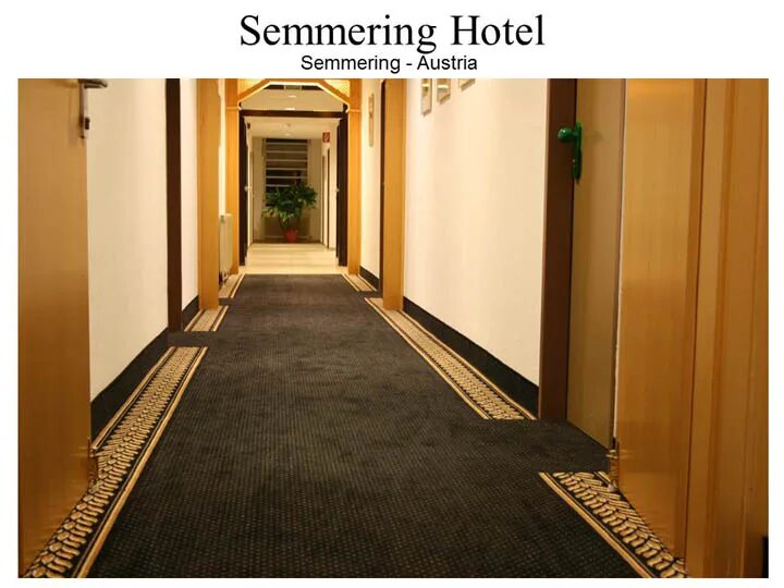 Ковролин в коридор. Ковролин в коридоре в квартире. Ковер дорожка в коридор. Needlefelt forbo. Ковролин в коридор.