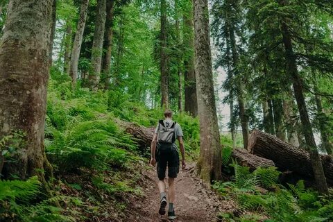 Экотропы красная поляна