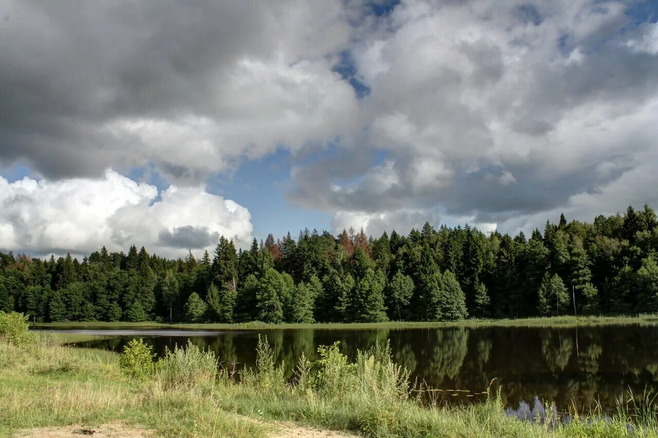 Вдали виднеется церковь