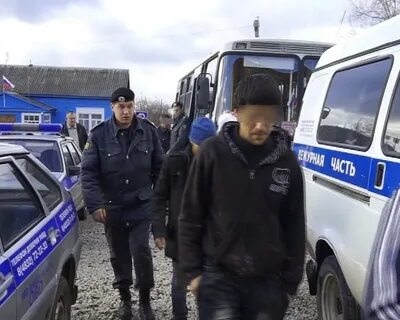 Миграции брянск