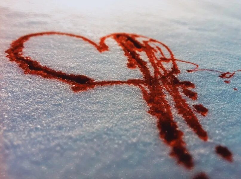 Я больше свое сердце не дам порезать. Стихи тро рабитая церца. Шутки про любовь. Цитаты про сердце. Люблю его цитаты.