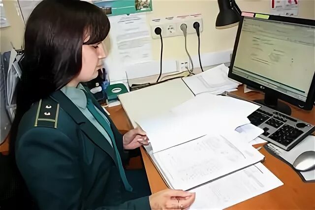 Подача документов в таможенные органы. Таможенный дознаватель. дознаватель таможенных органов. органы таможенного контроля. таможенная проверка.