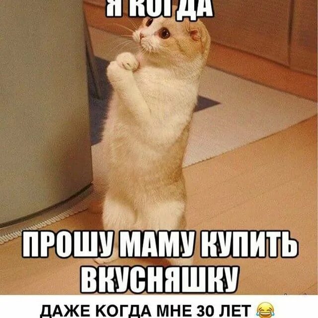 Ну прости пожалуйста. Поставьте 5. Обезьяна с губами. Картинка поставьте 5. Держим кулачки.