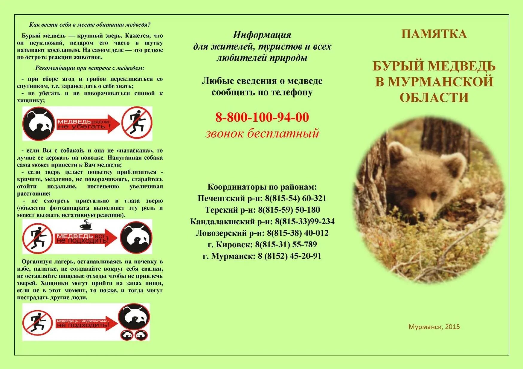 Медведь какую опасность представляет для человека