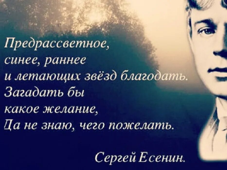 Предрассветное синее раннее и летающих звёзд Благодать. Предрассветное синее раннее Есенин. Цитаты поэтов. Стихи Есенина предрассветное синее раннее. Загадай стих