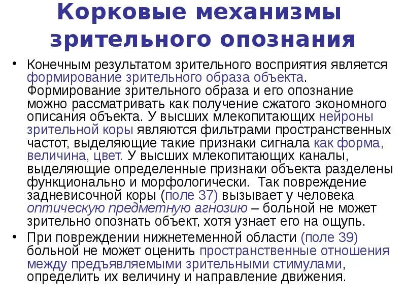 Механизм зрительного восприятия. Механизм восприятия зрительных образов. Центральные механизмы восприятия зрительной информации. Зрительный образ это физиология. Переработка информации в зрительной коре