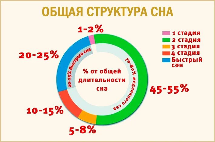 Фазы сна время таблица. Фазы быстрого и медленного сна таблица. Структура сна человека. Фазы сна человека по часам. Фазы и периоды сна.