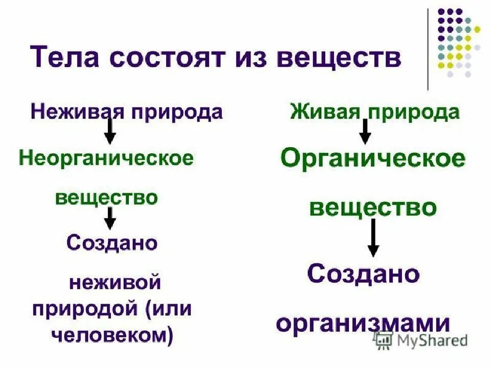 Какие 2 типа различают в живой природе