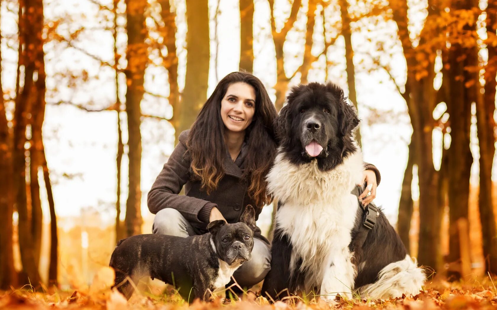 Dog have woman. Женщина с собакой. Девушка с собакой осенью. Женщина с сенбернаром. Осенняя фотосессия с сенбернаром.