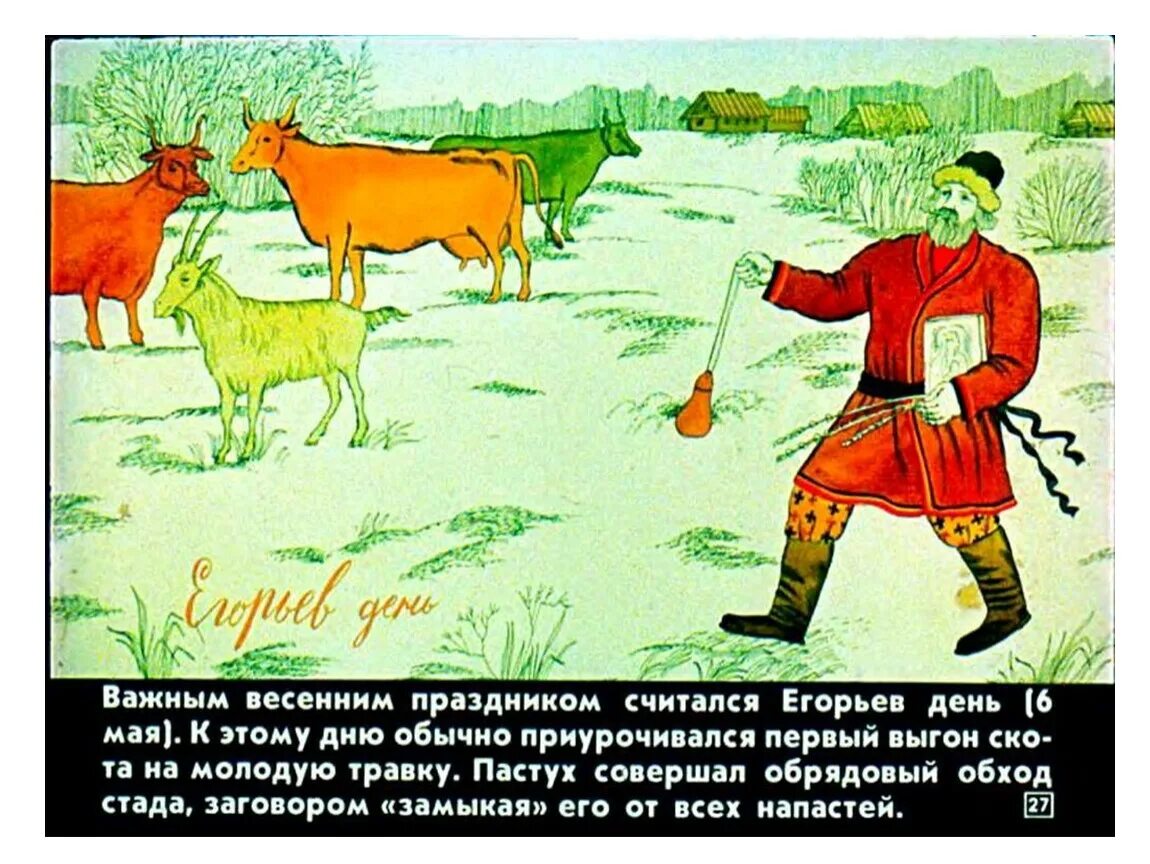 Он закричал пастухам чтобы они скорее гнали. Первый выгон скота. 6 Мая народный календарь. 6 Мая Егорий с праздником. Юрьев день картинки для презентации.