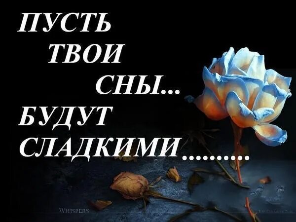 Спокойной ночи пусть тебе приснится. Пусть тебе снятся сладкие сны. Пусть твои сны будут сладкими. Пусть приснится хороший сон.