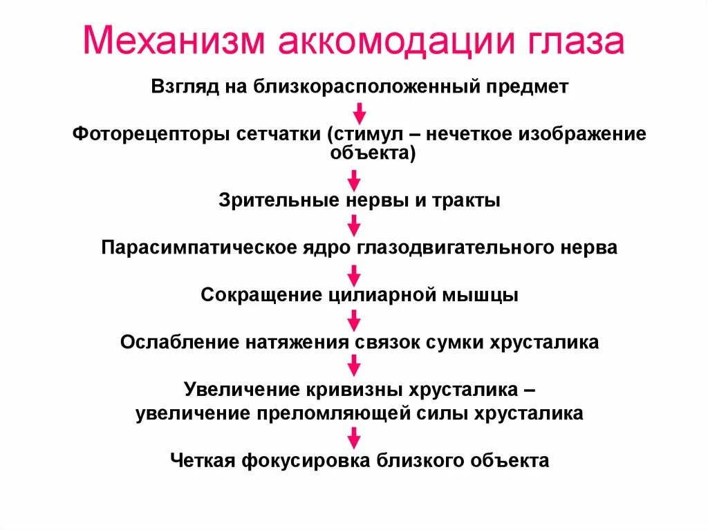 Развитие аккомодации. Механизм развития аккомодации. Объясните физиологические механизмы аккомодации кратко. Механизм аккомодации глаза физиология. Механизм развития паралича аккомодации.