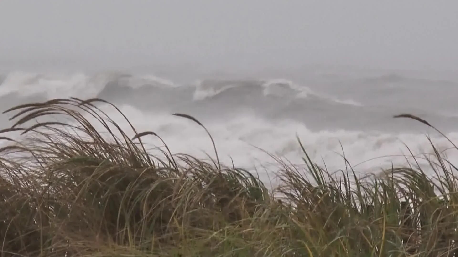 Шум ветров звуки. Ethereal Wind. Wind Sounds in tetxs. Hurricane Sound. Hard Wind Sound.