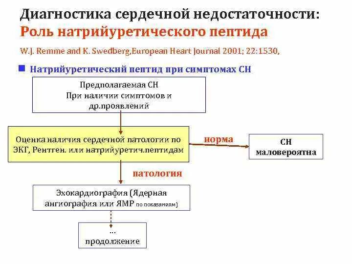 Определение пептида 32 мозга что это