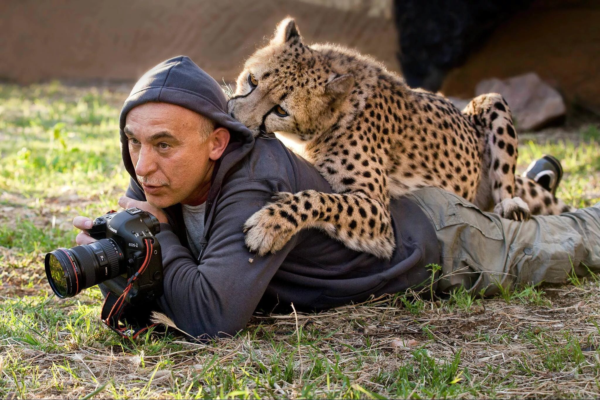 Юсин фотограф. Геннадий Юсин фотограф. Фотографы с дикими животными. Съемка диких животных.