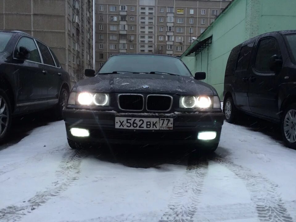 Бмв плохо работает. Хелла блэк е39. хелла блэк е36 фонари. дхо на бмв е39. ангельские глазки бмв е36.