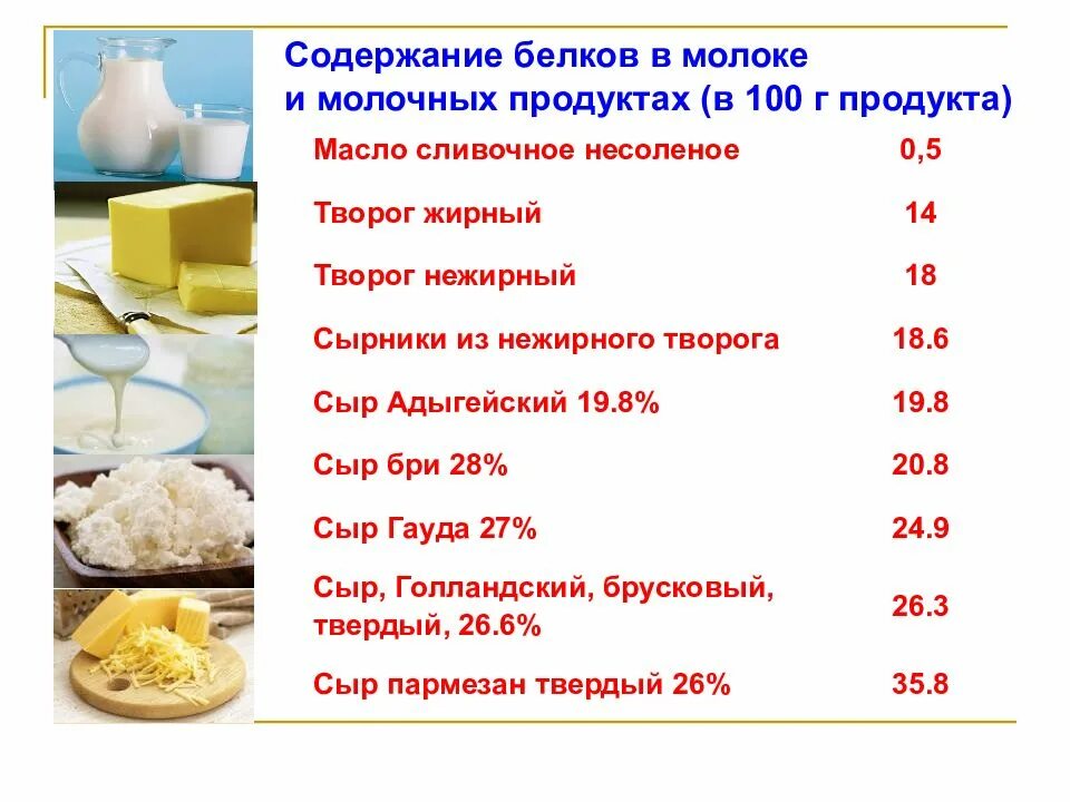 Содержание белков в молоке. Белок в молоке и молочных продуктах. Молочный белок в молочных продуктах. Содержание белка в молочных.