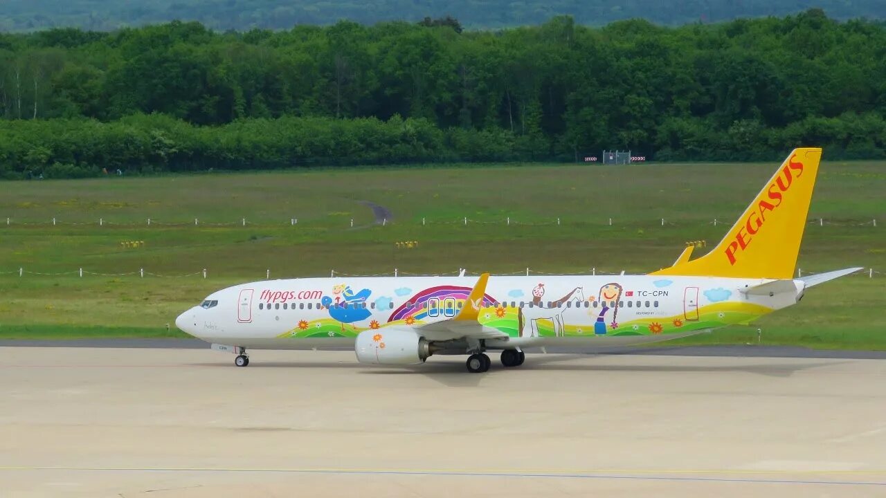 Пегасус эйрлайнс отзывы. Пегасус 737. Боинг 737-800 Pegasus Airlines. Боинг 737 Пегасус. Пегасус Аирлинес Boeing 737-800.