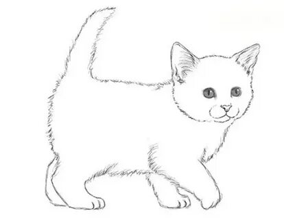 1 нарисовать котят