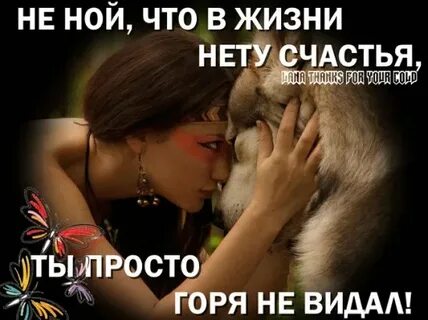 Жизнь жестока