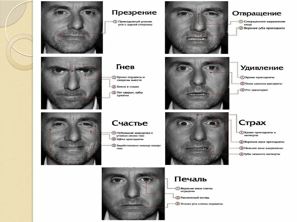 Человек не проявляющий эмоций. Пол Экман базовые эмоции. Пол Экман микровыражения лица. Презрение эмоция пол Экман. Мимика пол Экман презрение.