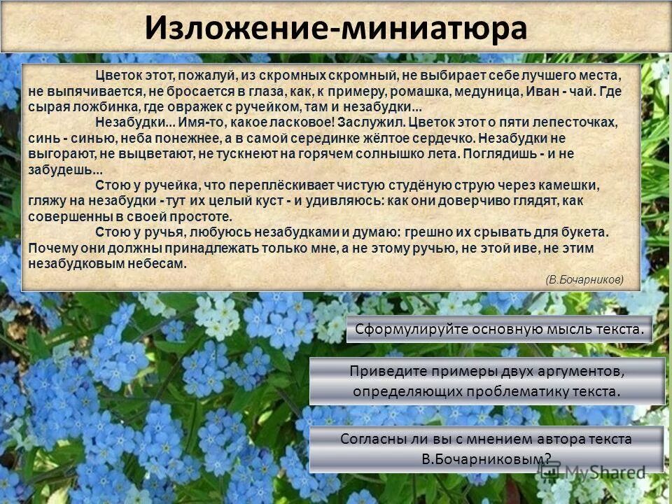 Незабудка написано. Изложение с элементами сочинения. Изложение про цветок. Изложение Незабудка. Сказка о незабудке план.