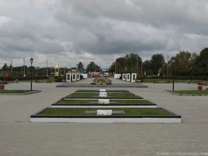 Быковка киреевский