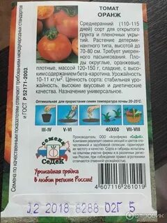 Томаты оранж описание сорта фото отзывы