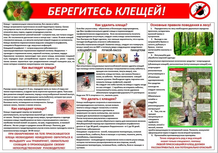 Клещевые инфекции тесты с ответами