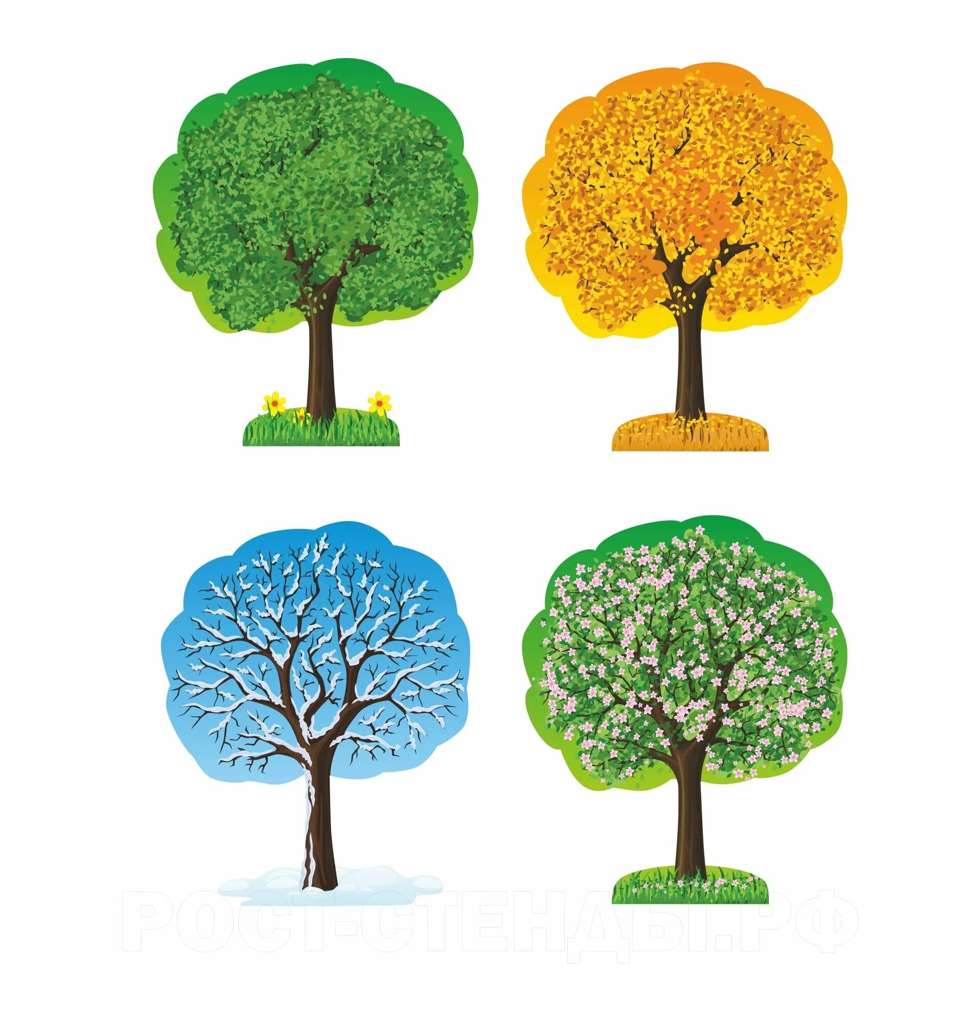 Сезонное дерево. Макет дерева для детского сада. Шаблон дерева для поделки. Макет года. Макет сезонного дерева.