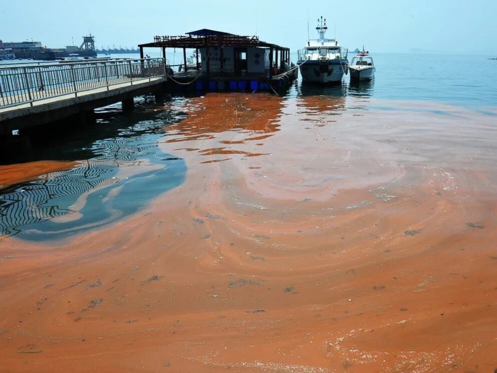 Площадь загрязнения мирового океана. Загрязнение воды. загрязнение океана. биологическое загрязнение океана. загрязнение удобрениями мирового океана.