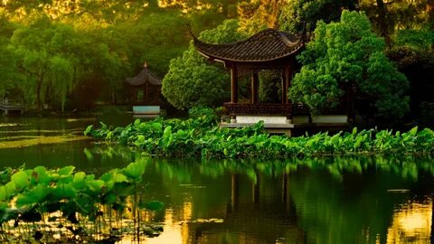 landscape japanese garden lake.