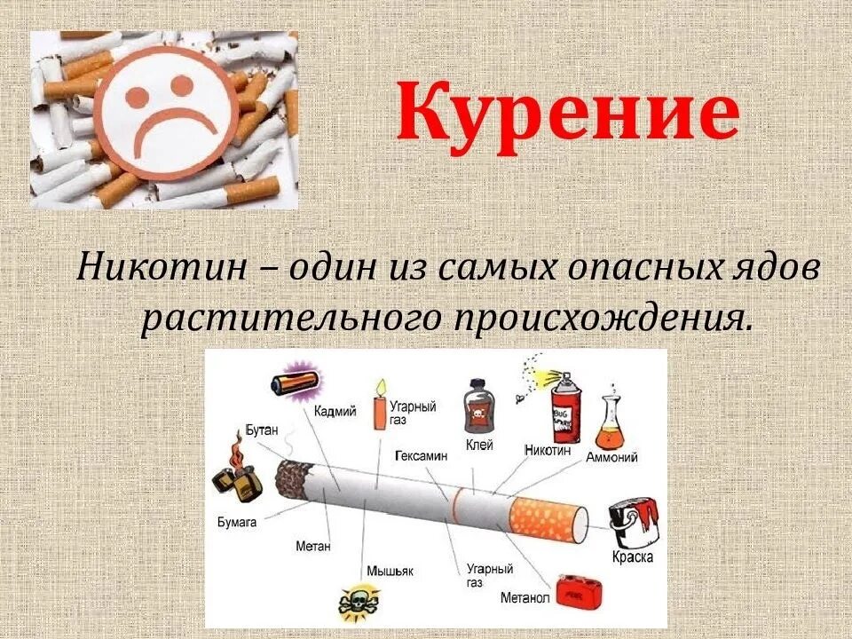 Проект 9 класс на тему вредные привычки. Вредные привычки табакокурение.
