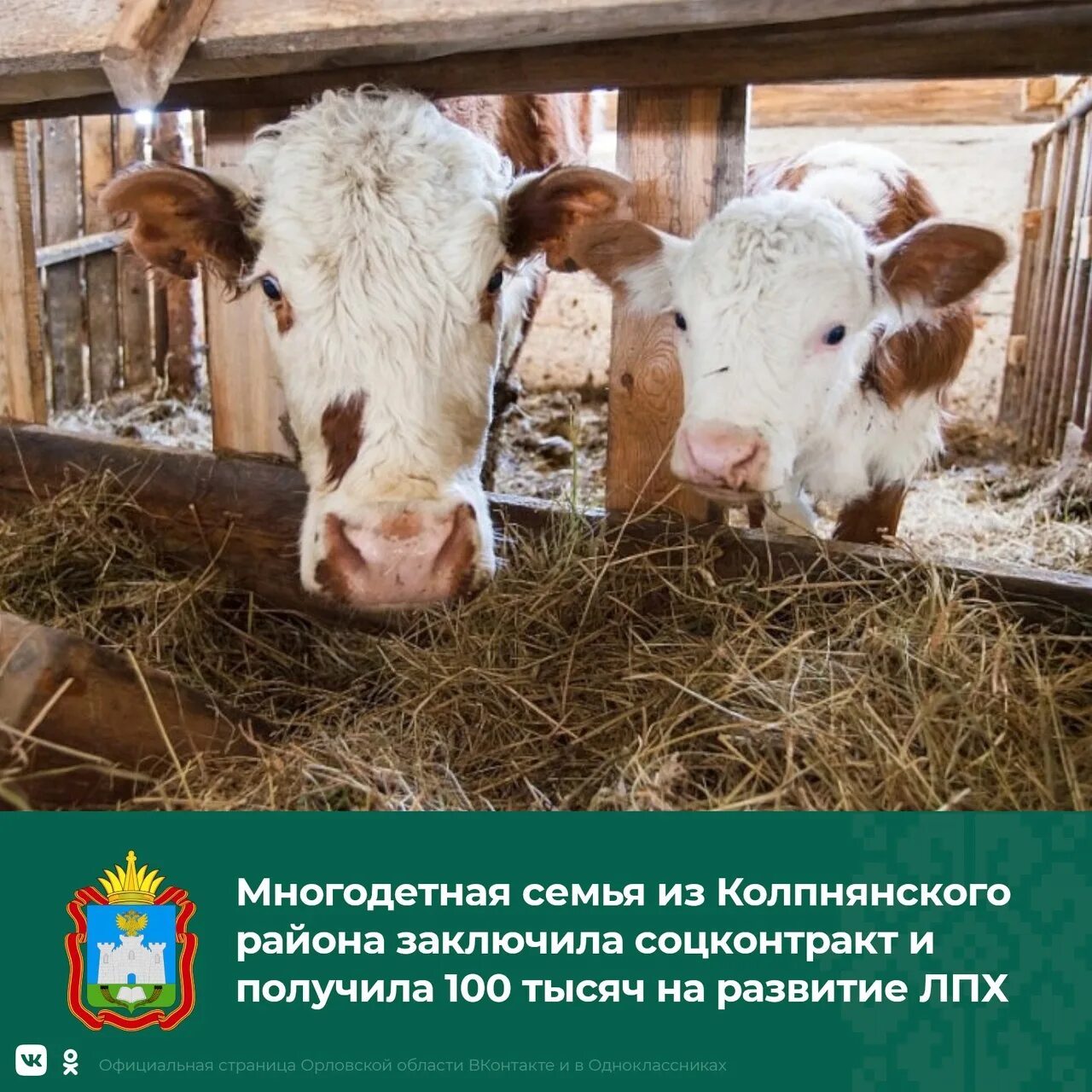 Личное подсобное хозяйство. Лпх минусинский район. Подсобное хозяйство в деревне. Подсобное хозяйство многодетным. Подсобное хозяйство многодетным.