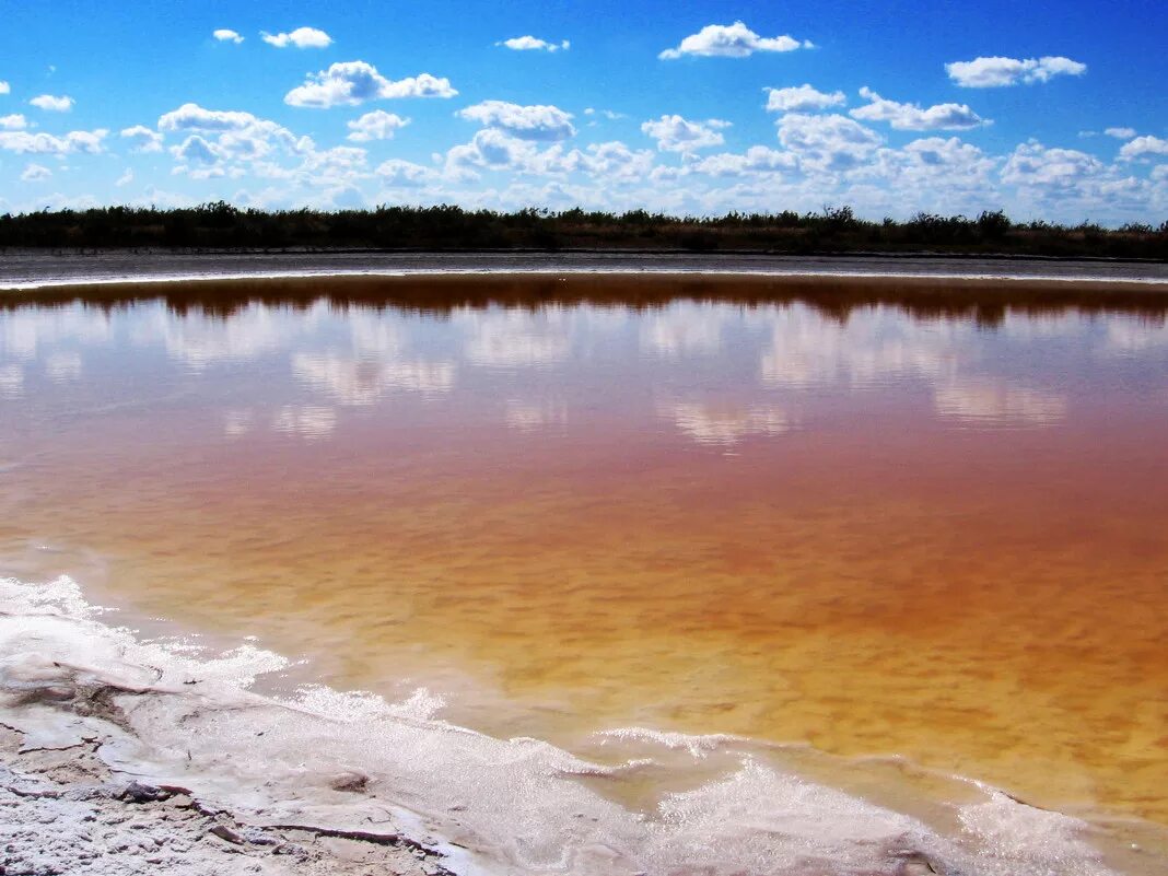 элиста меклетинское розовое озеро. озеро в калмыкии. озеро в калмыкии. оз маныч гудило. в калмыкии эшелтинское озеро.