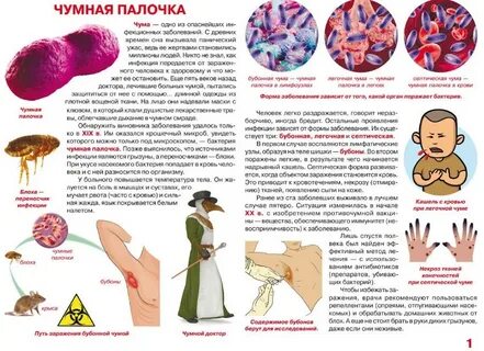Микробы книга