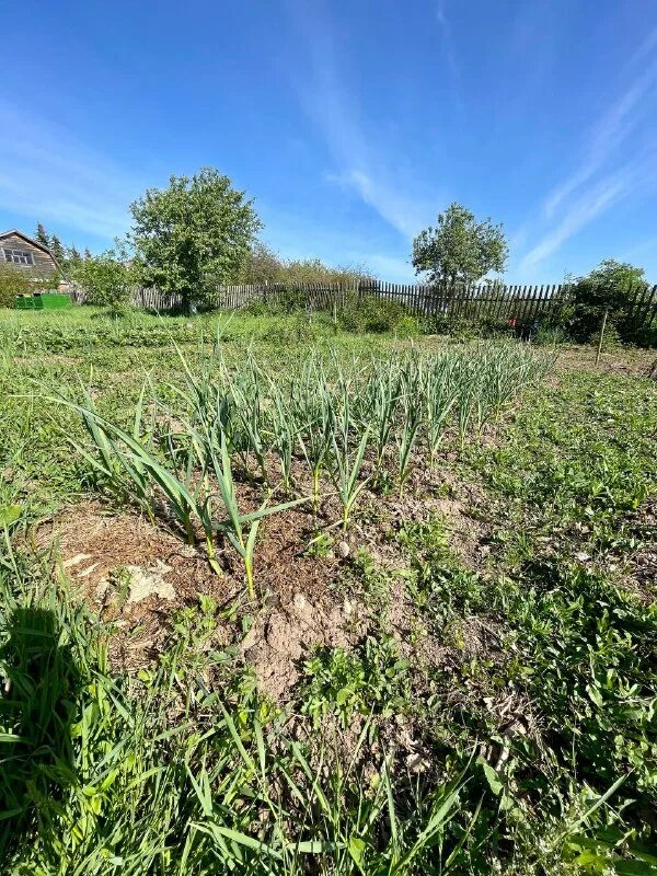 Переулок лесной 10 приволжск. Подберезное раменский район. Жизнь в приволжской деревне телеграмм. Волгоградская область поселок стругацкий. Дмитрий жардимов саратов.