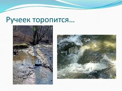 Журчит ручей какой