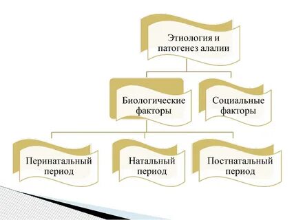 Биологический фактор возникновения алалии