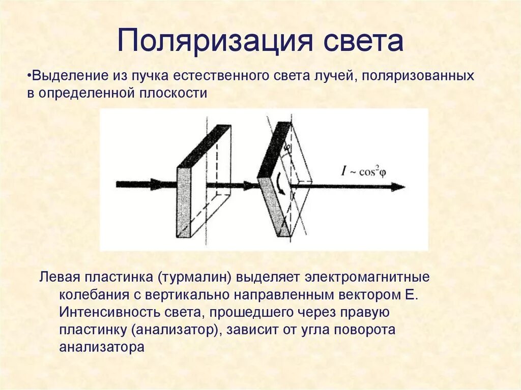 Поляризованные пучки. Поляризация это в физике 11 класс. Поляризация света физика кратко. Объяснение явления поляризации. Схема возникновения поляризации.